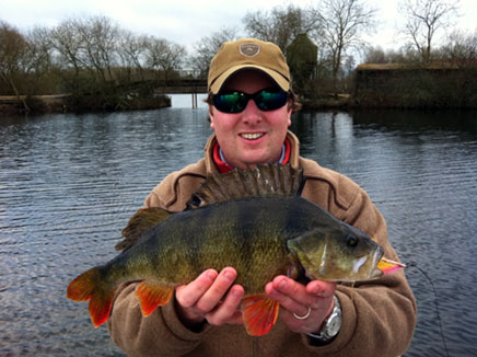 big-perch-on-fly 1.jpg